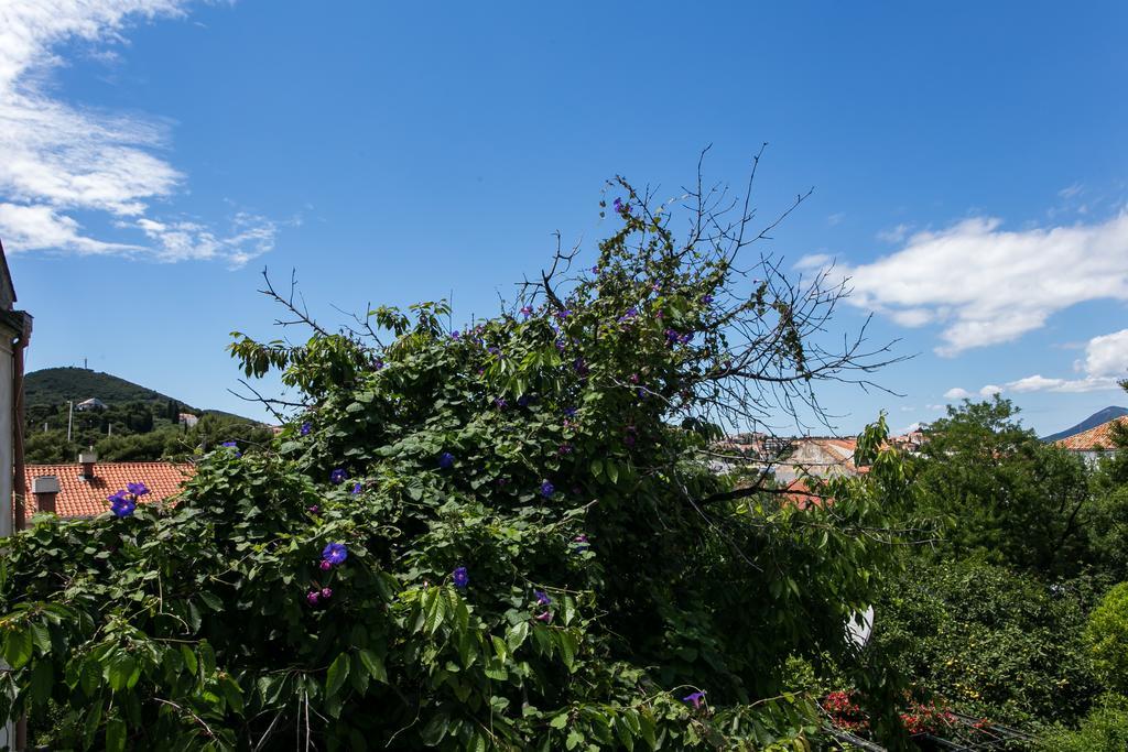 Apartment Tranquilo Дубровник Екстериор снимка